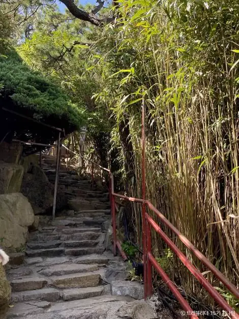 海東龍宮寺竹林與樹影之間的不規則石梯、紅色扶手和轉彎