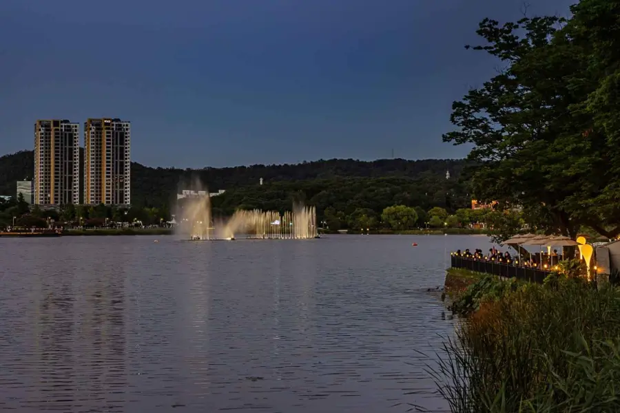 Music-fountain jets on Suseongmot Lake after dark with city lights on the far shore
