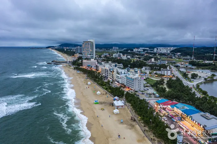 鏡浦湖、松林與東海並列的江陵鏡浦海灘實景