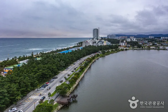 江陵鏡浦海灘的沙灘與東海浪況實景