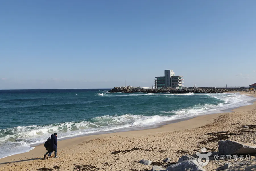 Jeongdongjin Beach in daylight with East Sea waves and a distant coast building