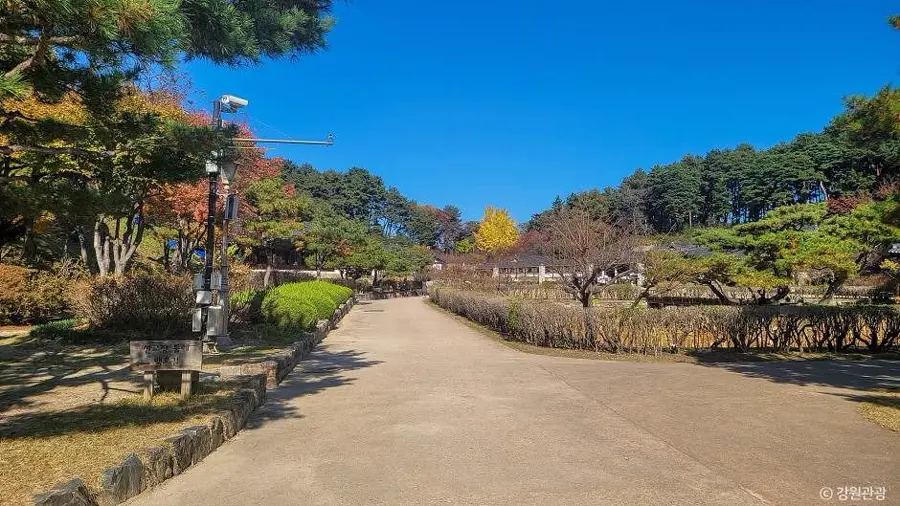 江陵船橋莊園林步道、修剪樹木與後方松林