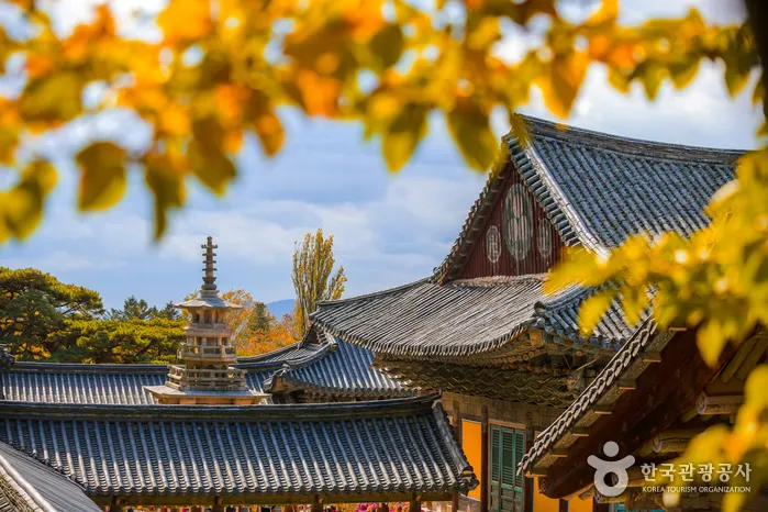 Bulguksa Temple buildings, stone pagoda and courtyard in autumn