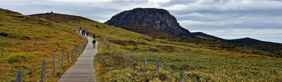 漢拏山高地木棧道、草坡與遠處火山岩壁