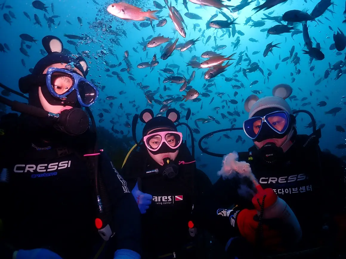 魚群の中を潜る済州のダイバー