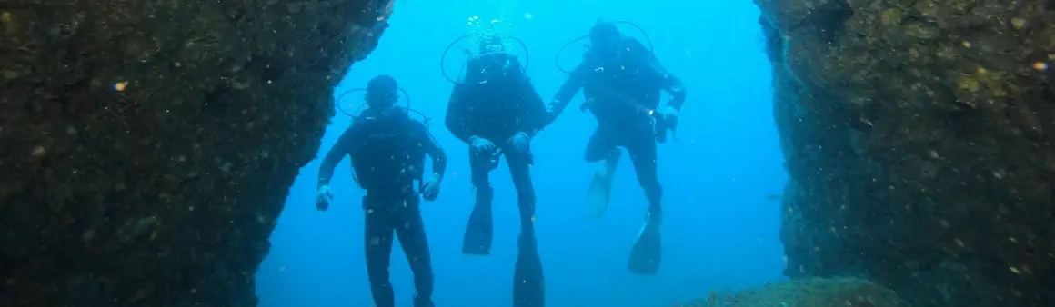 済州の海中岩壁の間を泳ぐダイバー