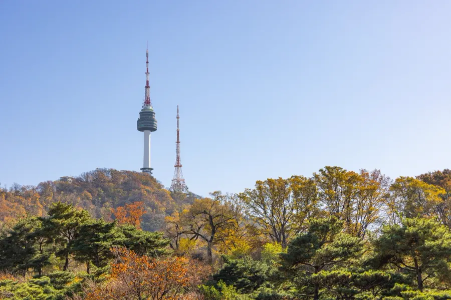 南山樹林山脊上的N Seoul Tower與廣播塔