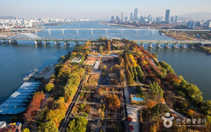 仙遊島公園保留舊淨水設施、花園水池及四周漢江的島上全景