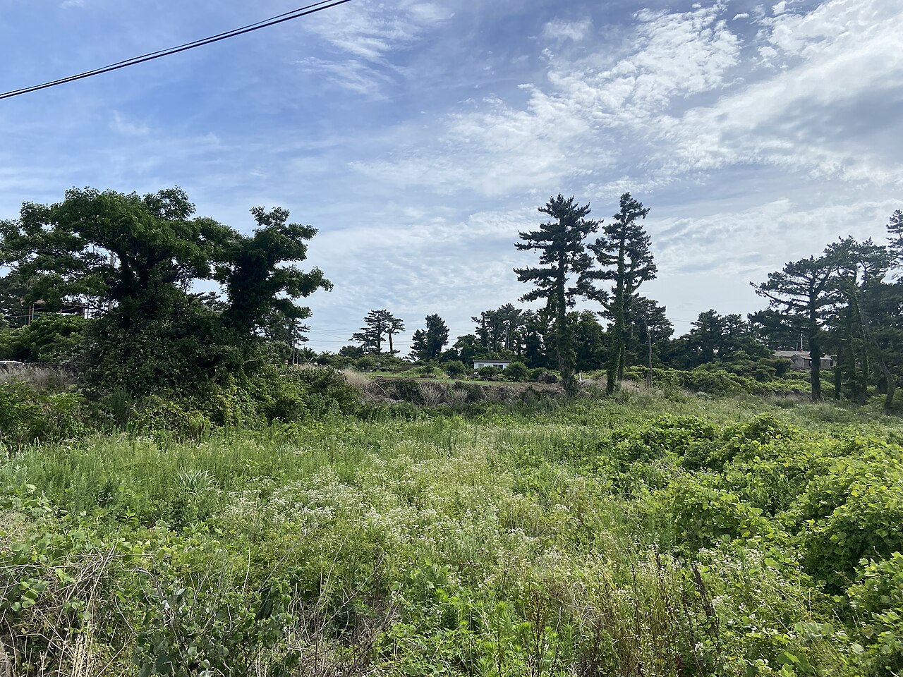 濟州島涯月海岸景觀